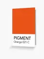 orange 021c.jpg