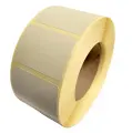 7995.jpg