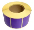 7942.jpg