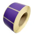 7943.jpg